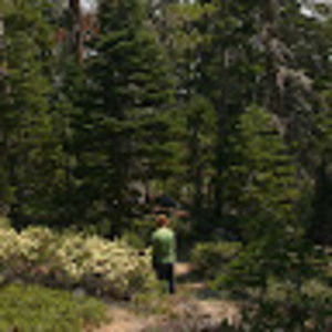 Meet your Posher, Janelle